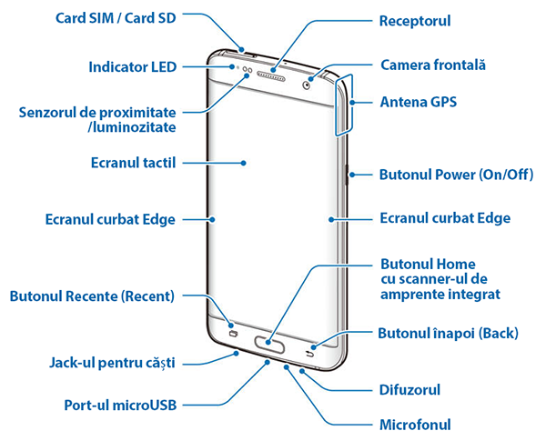 Plan General / Schita - Fața anterioară a lui Galaxy S7 și Galaxy S7 Edge