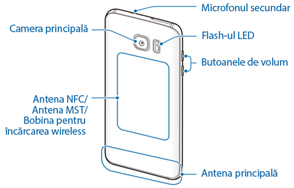 Plan General- Schita - Față posterioară a lui Galaxy S7 și Galaxy S7 Edge